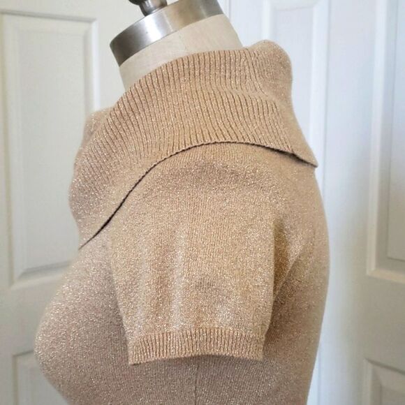 EXPRESS Shimmery Gold Cashmere Sweater Chunky Cowl Neck Short Sleeve - Picture 5 of 11
